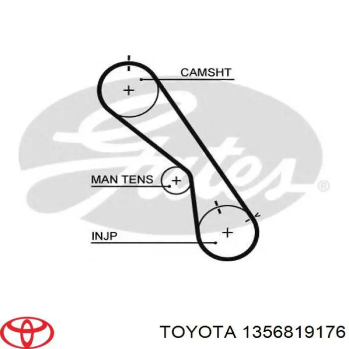 Pasek rozrządu Toyota 1356819176 cena, od 29,86 USD