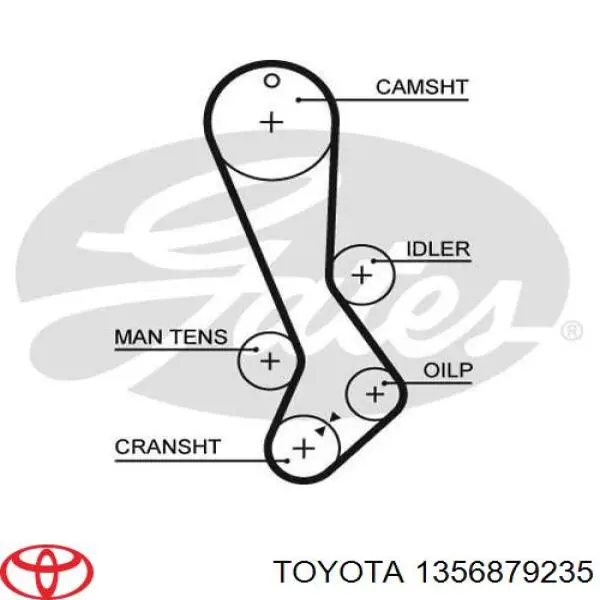 Pasek rozrządu Toyota 1356879235 cena, od 52,58 USD