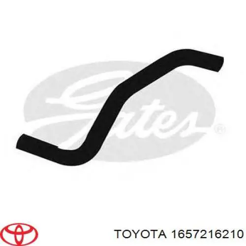1657216210 Toyota Przewód (króciec) chłodnicy dolny