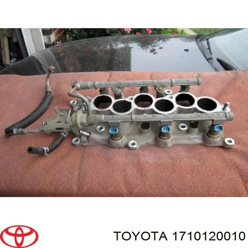 Kolektor ssący Toyota Camry IV sedana (V20) (1996 - 2001) cena, od 1344,68 USD
