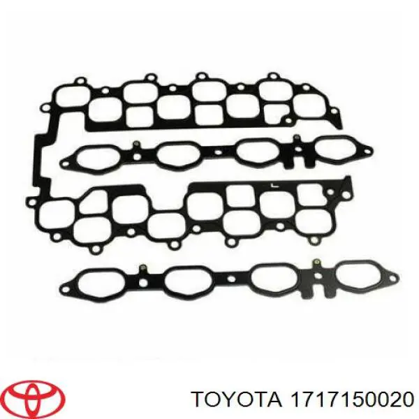 1717150020 Toyota uszczelka kolektora ssącego dolna