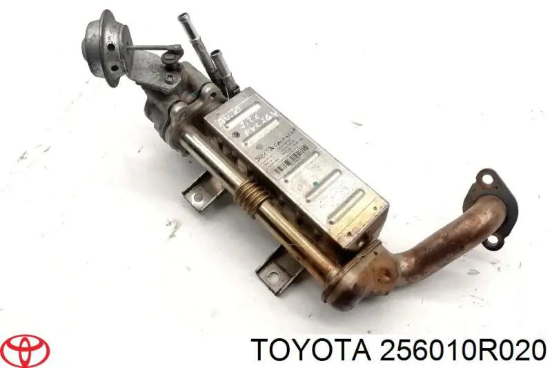 256010R020 Toyota chłodnica układu recyrkulacji spalin egr