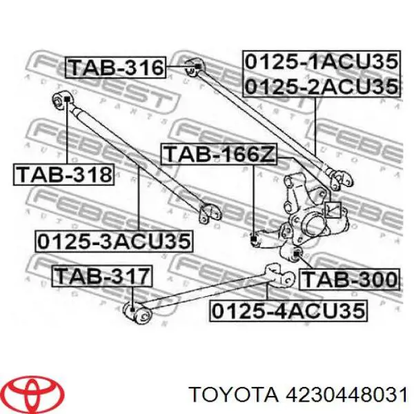 4230448031 Toyota Czop (zwrotnica) tylny prawy