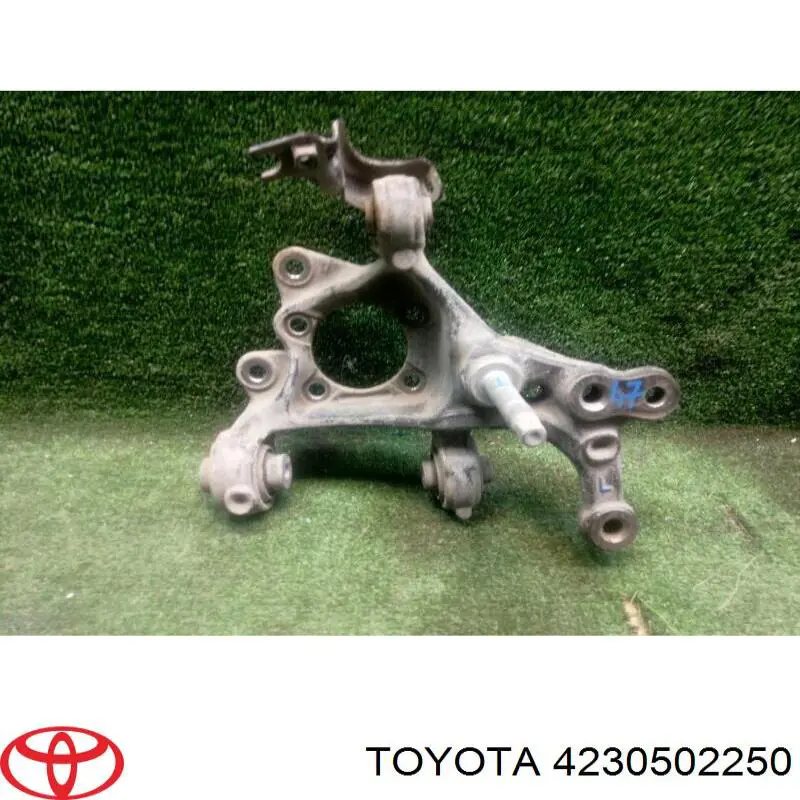 4230502250 Toyota Czop (zwortnica) tylny lewy