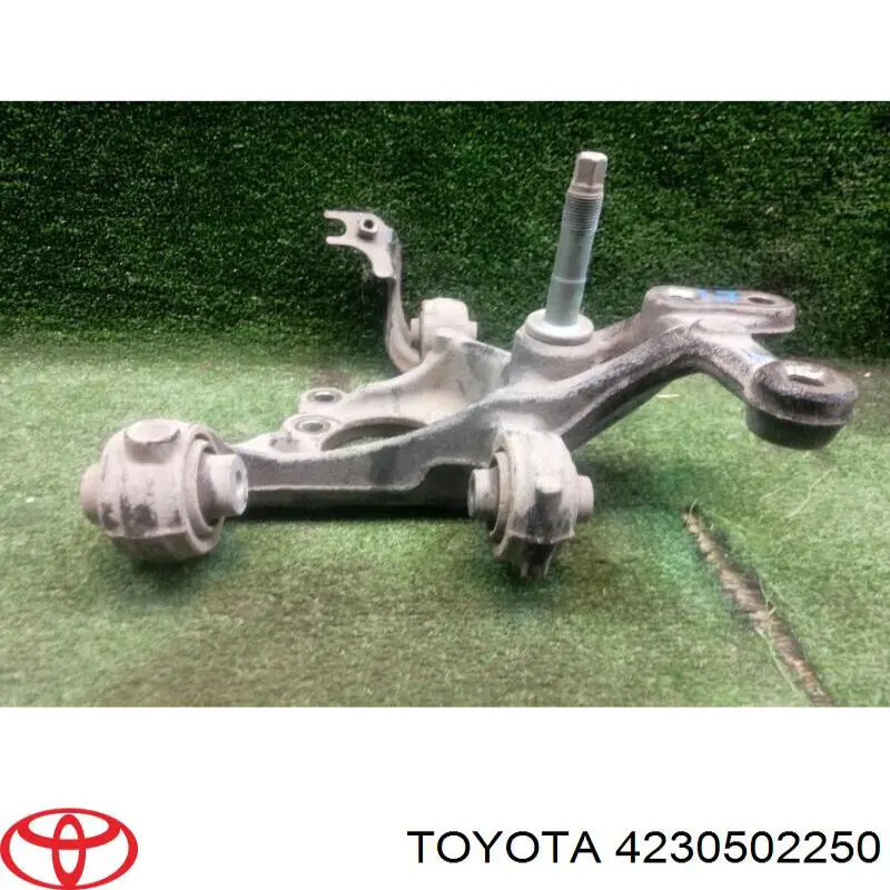 Czop (zwortnica) tylny lewy Toyota 4230502250 cena, od 314,97 USD