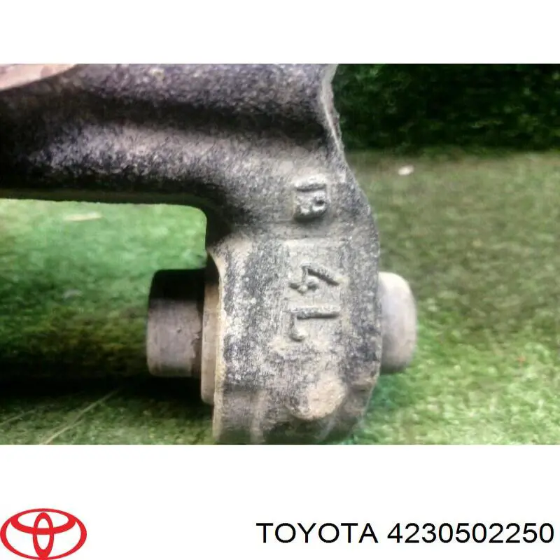 Do koszyka 4230502250 Toyota Czop (zwortnica) tylny lewy