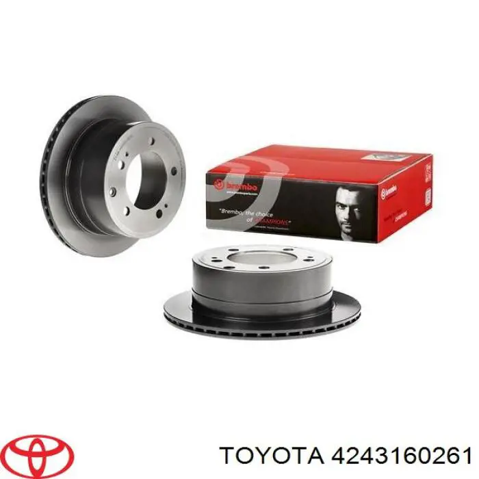 Do koszyka 4243160261 Toyota Tarcza hamulcowa tylna