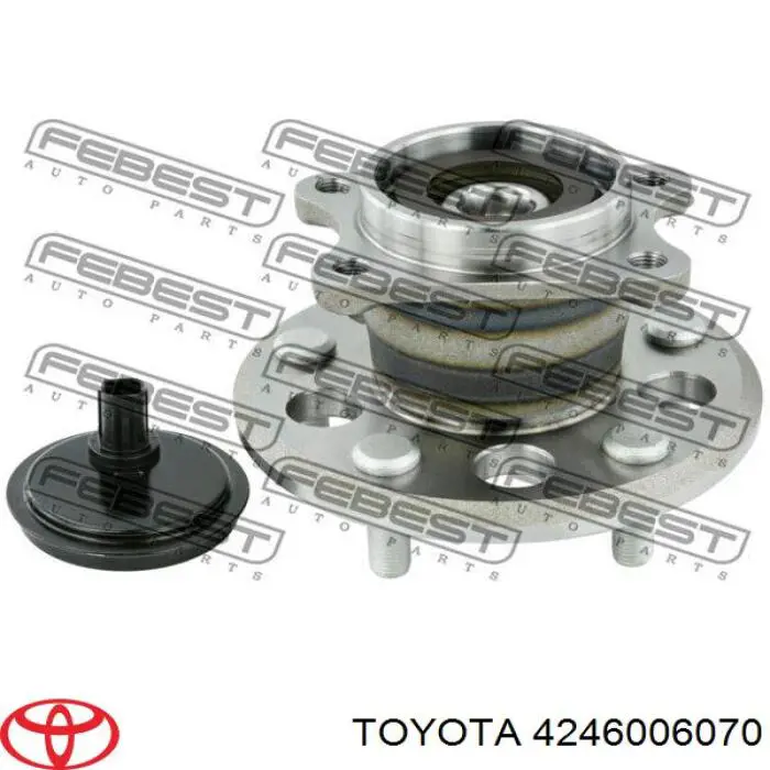 4246006070 Toyota Piasta tylna lewa
