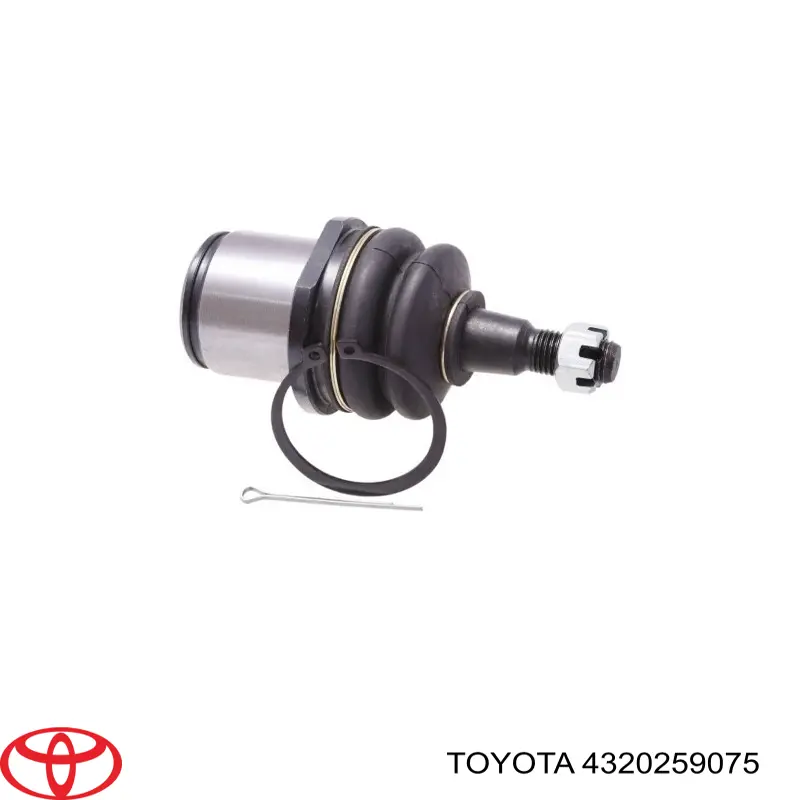 4320259075 Toyota Czop (zwrotnica) przedni lewy