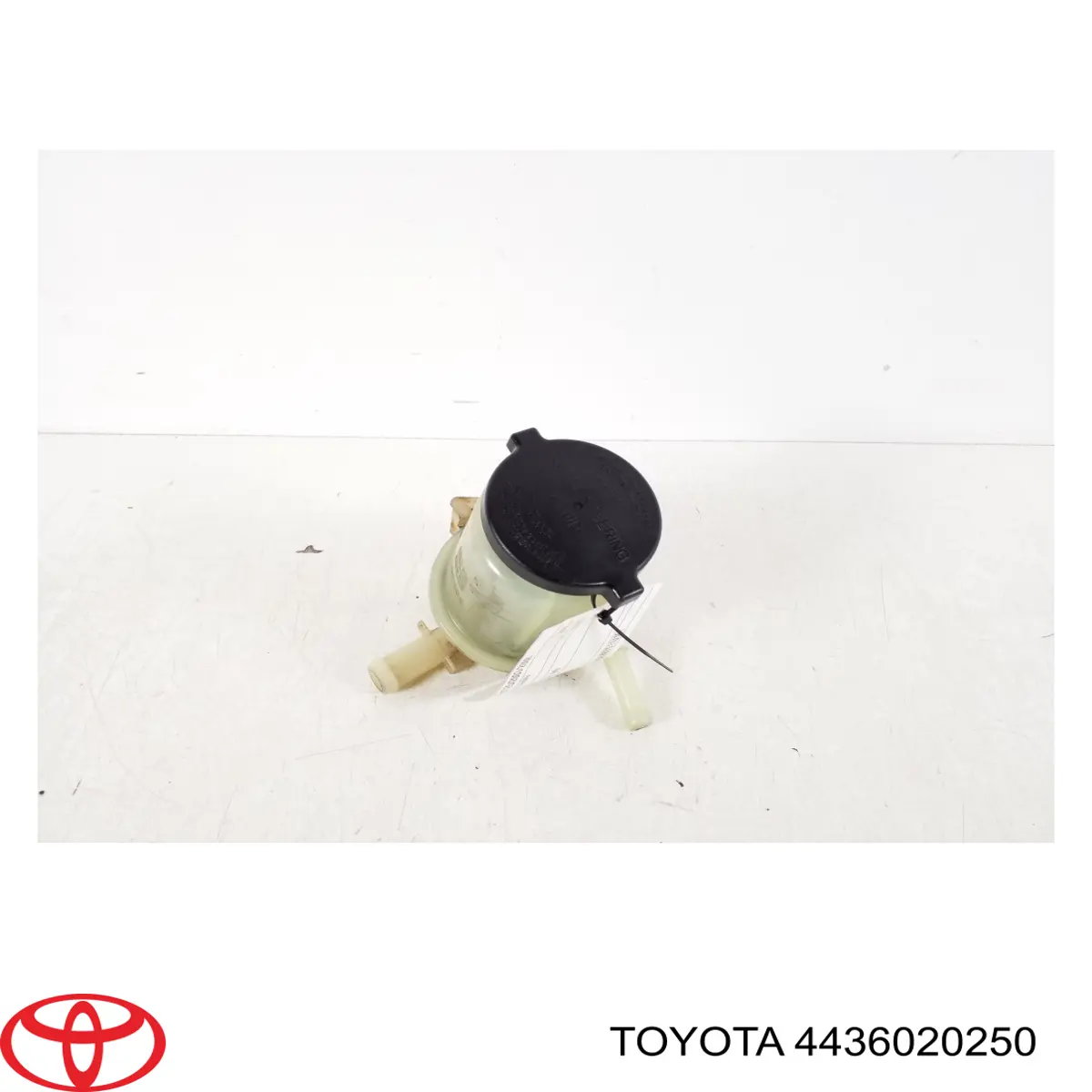 Zbiornik płynu wspomagania Toyota Avensis II kombi (T25) (2003 - 2008) cena, od 557,58 USD