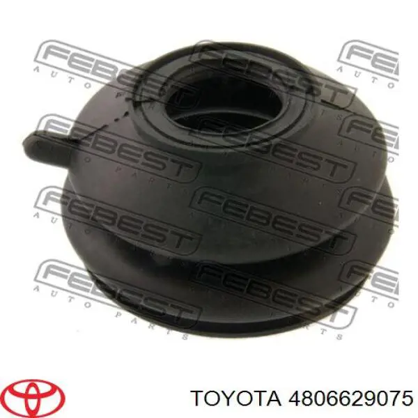 Do koszyka 4806629075 Toyota Wahacz zawieszenia przedniego prawy górny