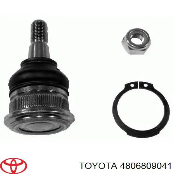 Do koszyka 4806809041 Toyota Wahacz zawieszenia przedniego dolny prawy