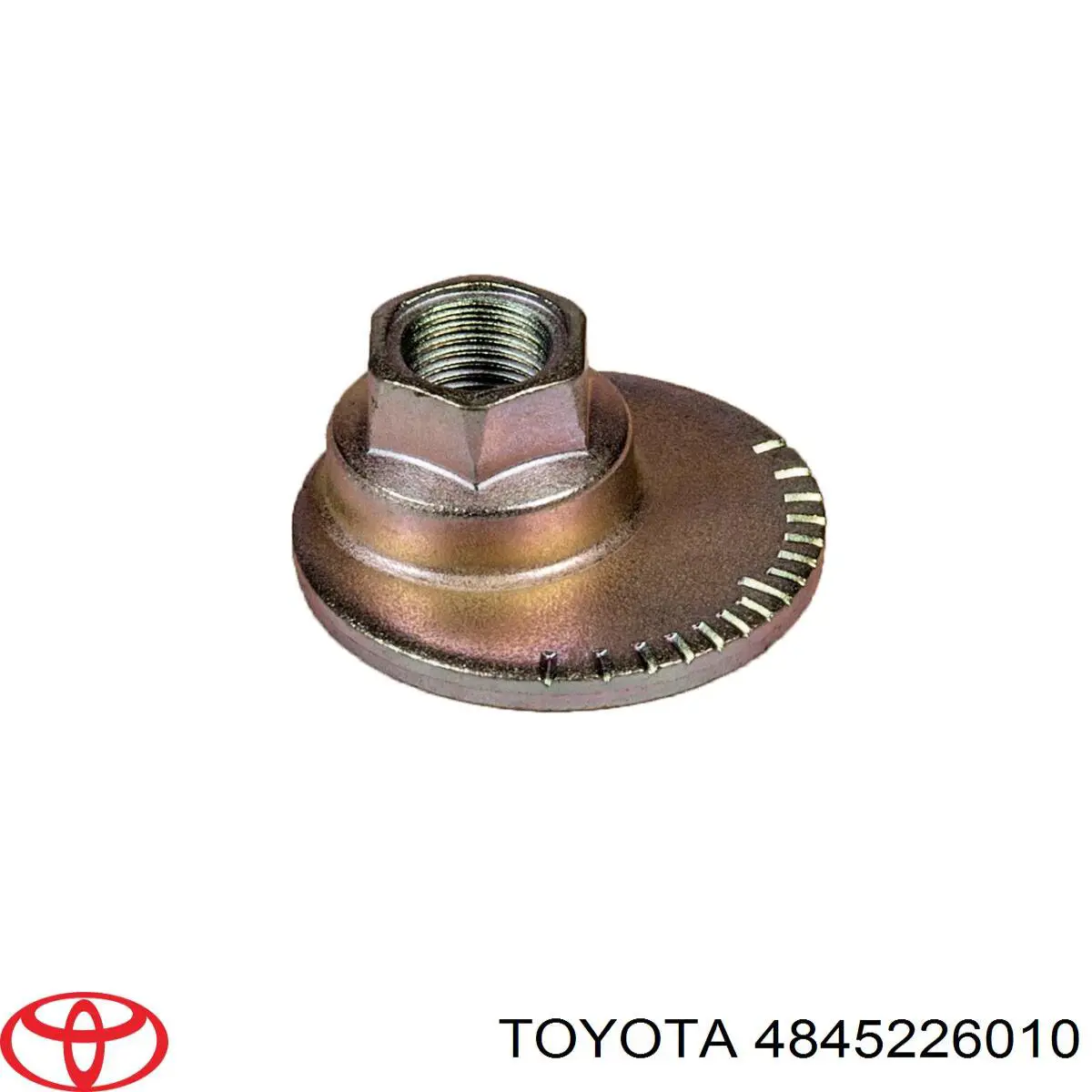 Nakrętka mimośrodowa wahacza tylnego dolnego Toyota 4845226010 cena, od 16,50 USD