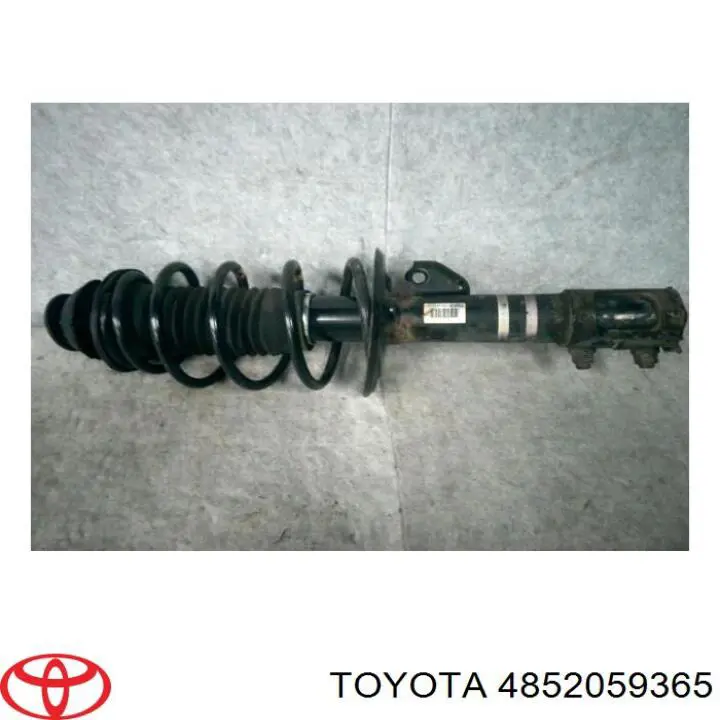 Amortyzator przedni lewy Toyota 4852059365