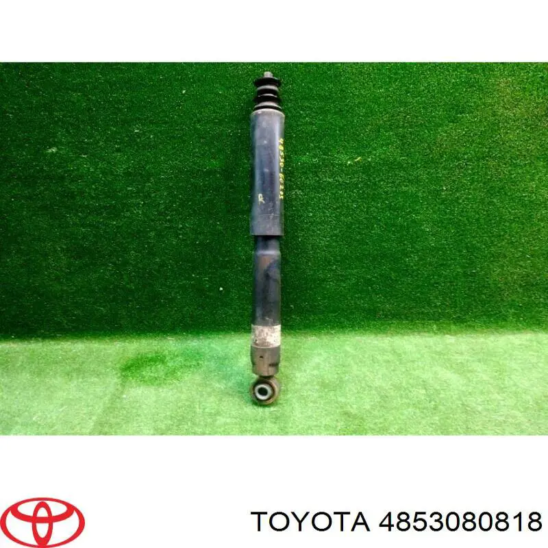 4853080818 Toyota Amortyzator tylny