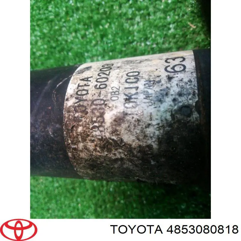 Amortyzator tylny Toyota 4853080818 cena, od 60,61 USD