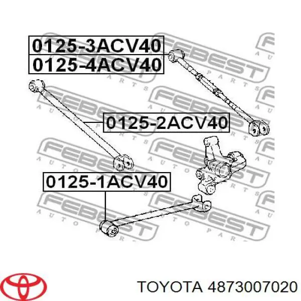 Do koszyka 4873007020 Toyota Wahacz poprzeczny zawieszenia tylnego prawy