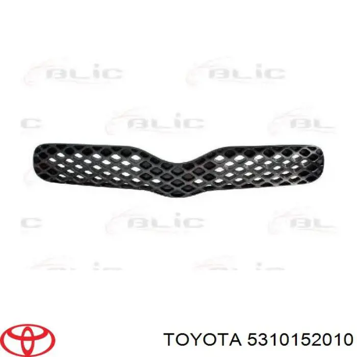 Atrapa chłodnicy Starline KH8109990 cena, od 19,81 USD