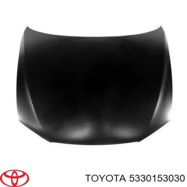 Do koszyka Maska silnika Lexus IS  E2