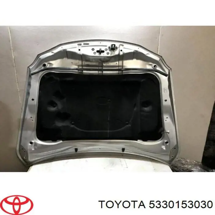 Maska silnika Lexus IS sedana (E2) (2005 - 2013) cena, od 689,40 USD