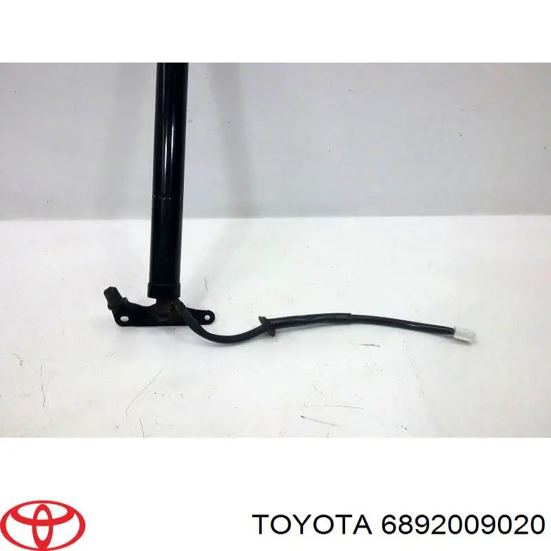 Amortyzator klapy bagażnika (3/5 drzwi-tylnych) Toyota 6891009053 cena, od 76,32 USD