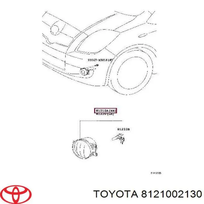 Lampa przeciwmgielna prawa Toyota Previa (ACR50)