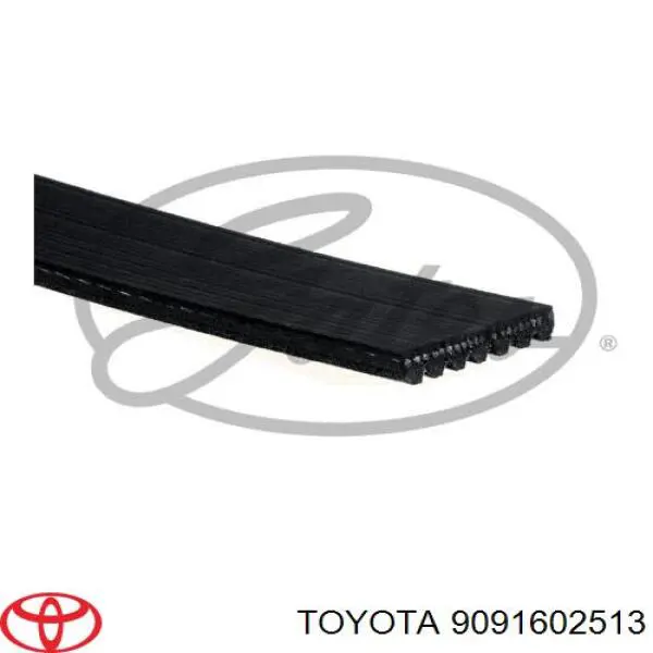 Do koszyka 9091602513 Toyota Pas napędowy mechanizmów