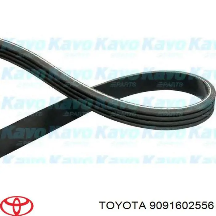 Do koszyka 9091602556 Toyota Pas napędowy mechanizmów