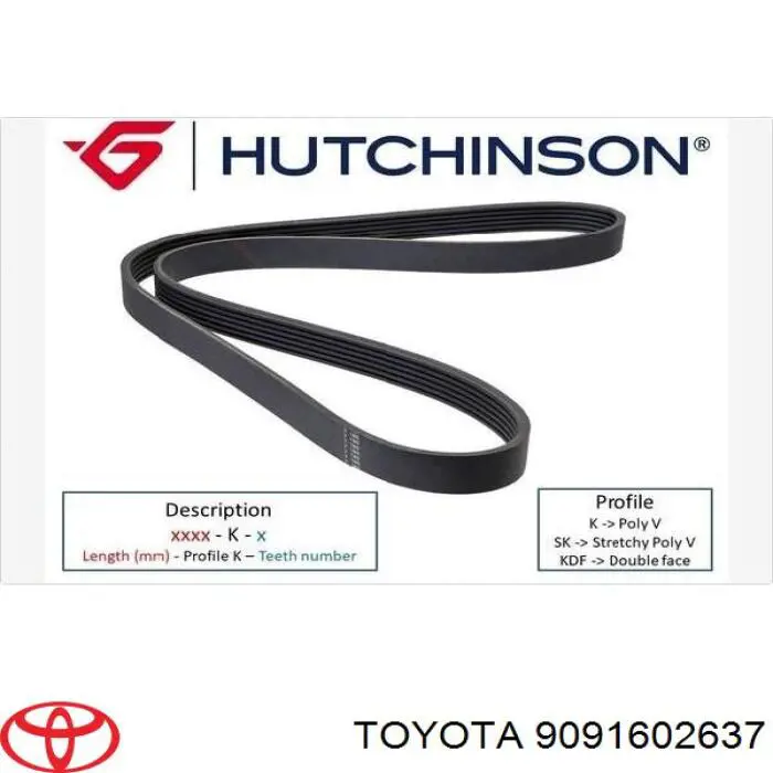 Do koszyka 9091602637 Toyota Pas napędowy mechanizmów