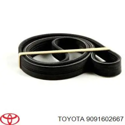 Pas napędowy mechanizmów Toyota 9091602667