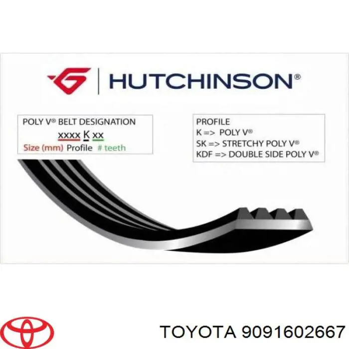 9091602667 Toyota Pas napędowy mechanizmów