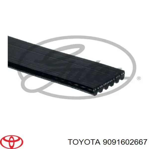 Pas napędowy mechanizmów Toyota 9091602667 cena, od 17,59 USD