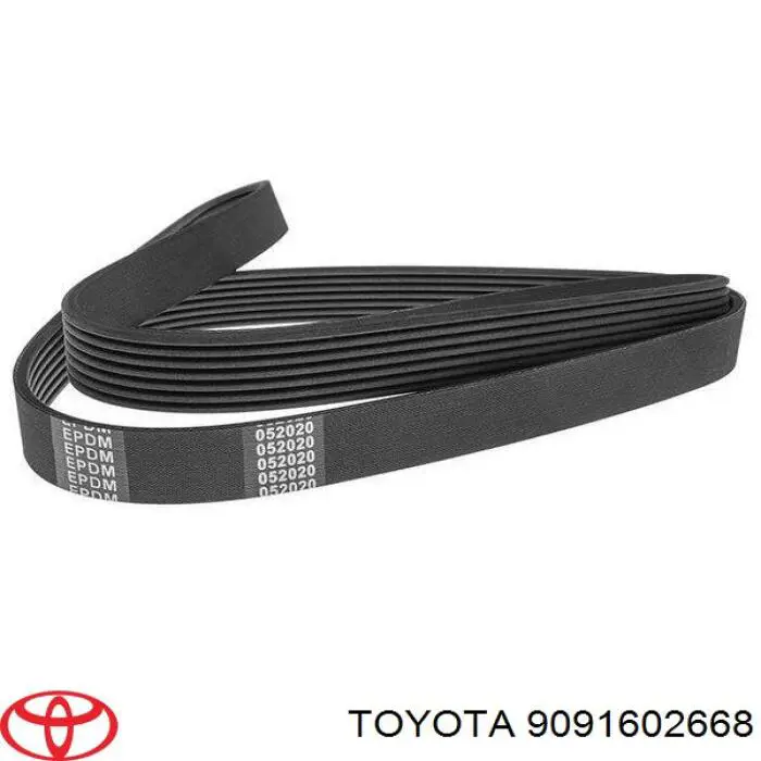 Do koszyka 9091602668 Toyota Pas napędowy mechanizmów