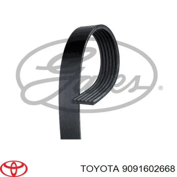 Pas napędowy mechanizmów Toyota 9091602668 cena, od 17,68 USD