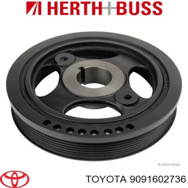 Do koszyka 9091602736 Toyota Pas napędowy mechanizmów