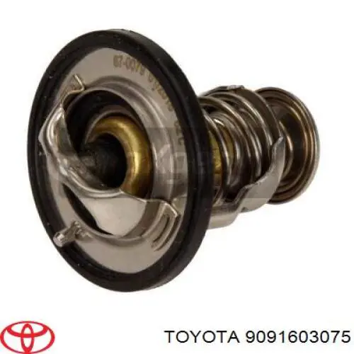 Do koszyka 9091603075 Toyota Termostat