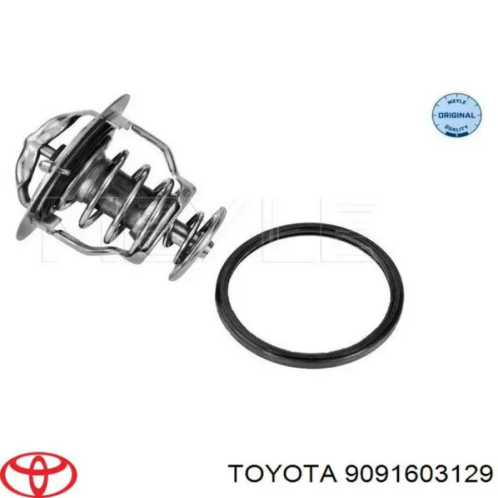 9091603129 Toyota Termostat