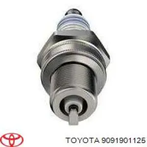 Świeca zapłonowa 9091901125 Toyota