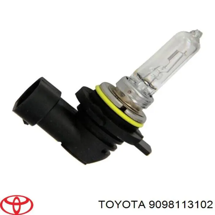 9098113102 Toyota Żarówka halogenowa