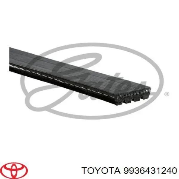 Do koszyka 9936431240 Toyota Pas napędowy mechanizmów