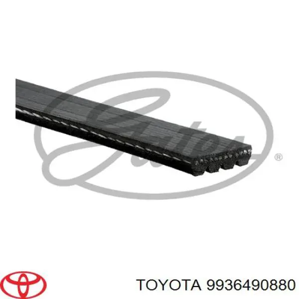 Do koszyka 9936490880 Toyota Pas napędowy mechanizmów