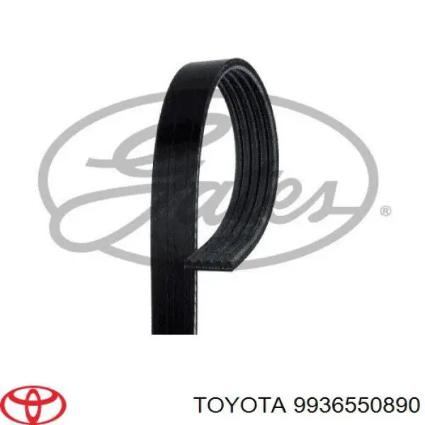 9936550890 Toyota Pas napędowy mechanizmów