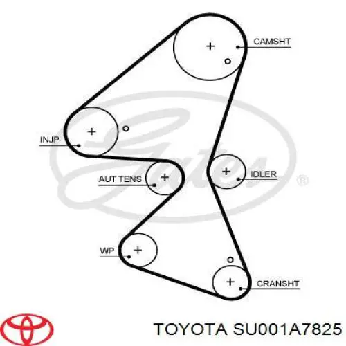Pasek rozrządu Peugeot/Citroen 1628925680 cena, od 53,67 USD