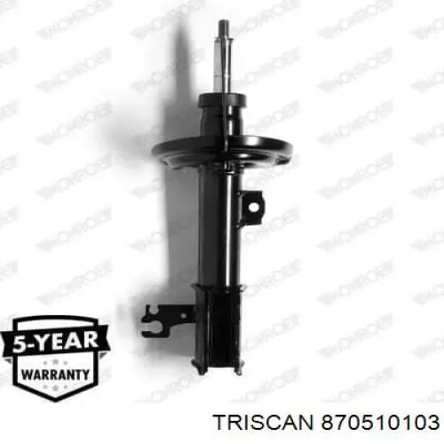Amortyzator przedni lewy Raiso RS312601 cena, od 54,00 USD