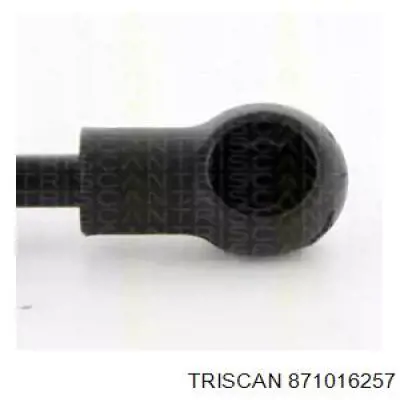 Amortyzator klapy bagażnika (3/5 drzwi-tylnych) Ford 1832239 cena, od 20,39 USD