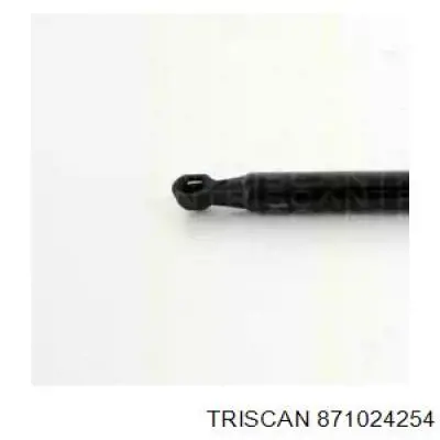 Amortyzator klapy bagażnika (3/5 drzwi-tylnych) General Motors 95985322 cena, od 19,73 USD