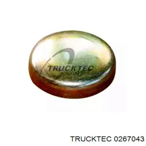 Zaślepka głowicy cylindrów/bloku cylindrów Trucktec 0267043 cena, od 0,71 USD