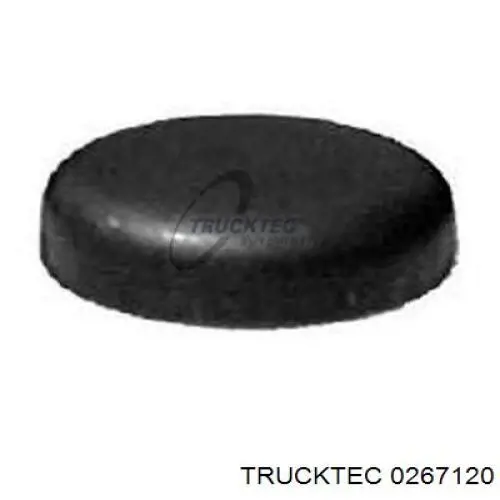 A000000006530 Mercedes Zaślepka głowicy cylindrów/bloku cylindrów