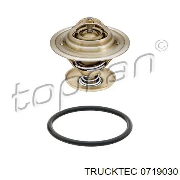 07.19.030 Trucktec termostat