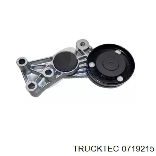 Napinacz paska napędowego Trucktec 0719215 cena, od 57,13 USD